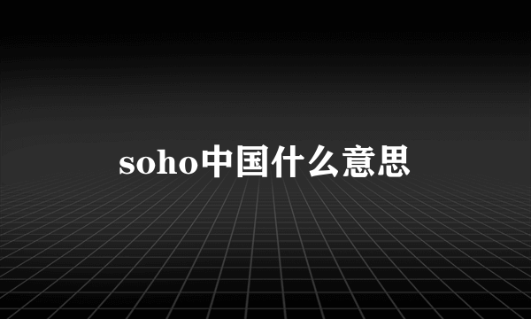soho中国什么意思